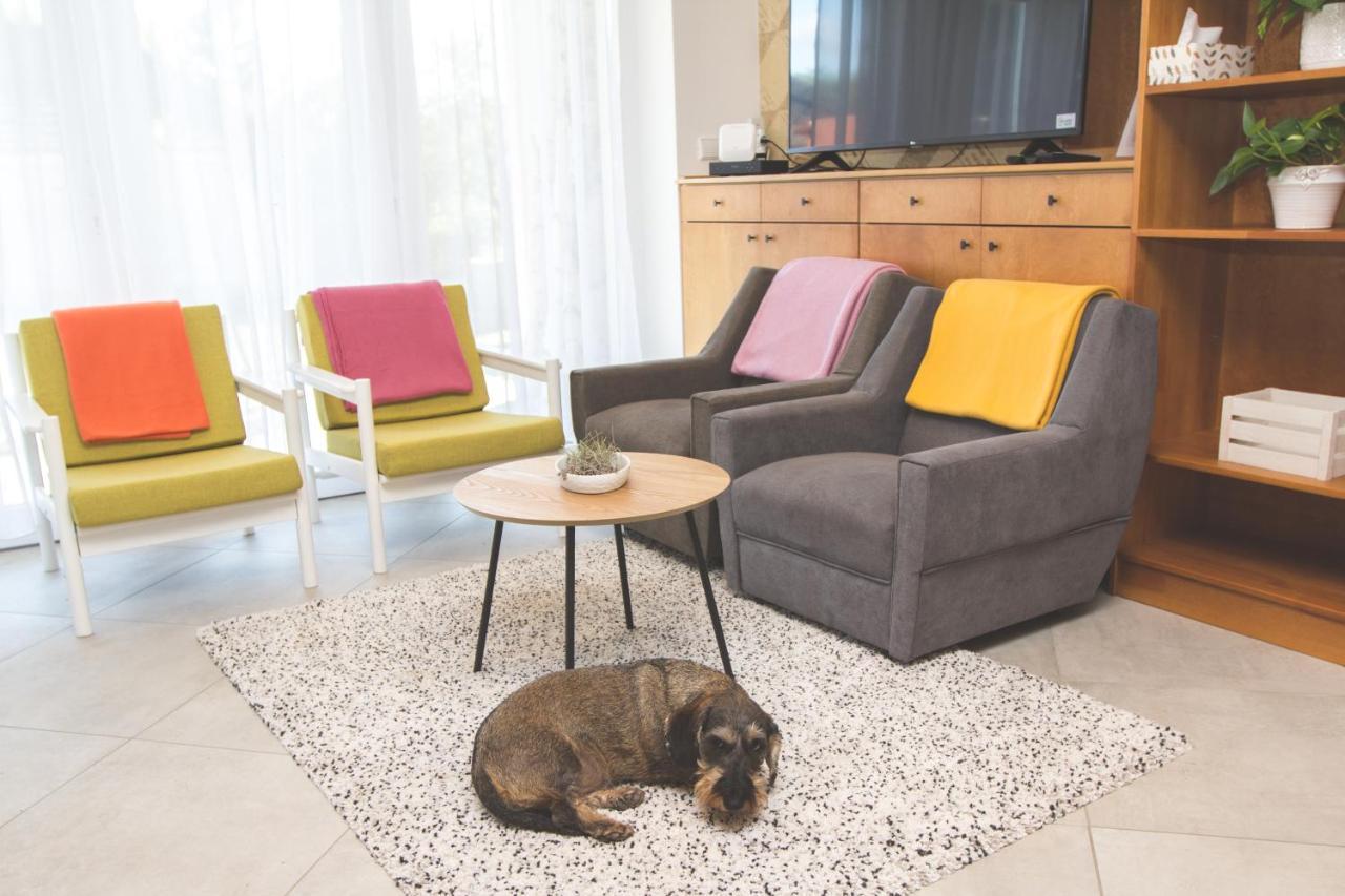 Dioliget Apartment Ohid Ngoại thất bức ảnh
