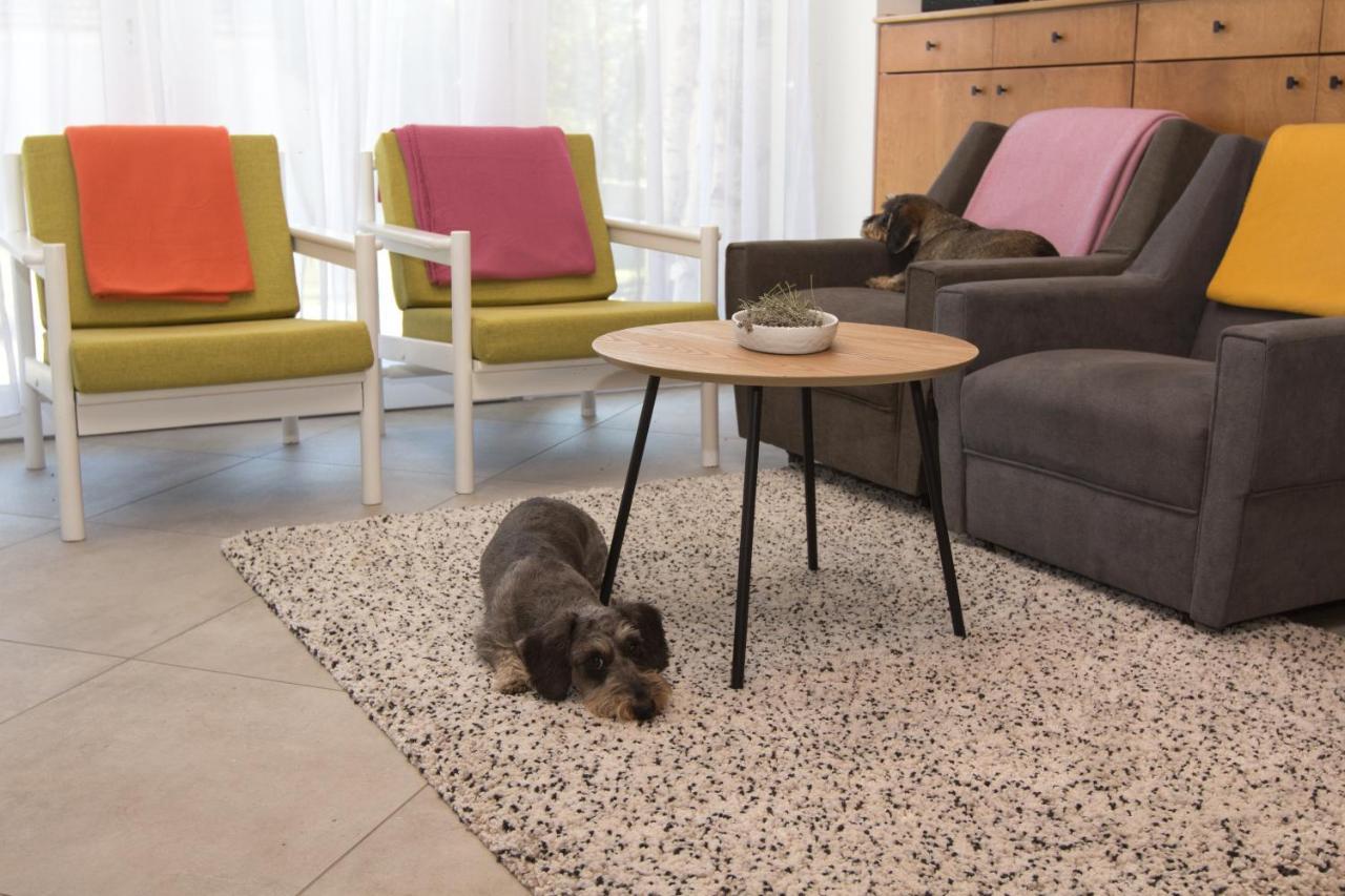 Dioliget Apartment Ohid Ngoại thất bức ảnh