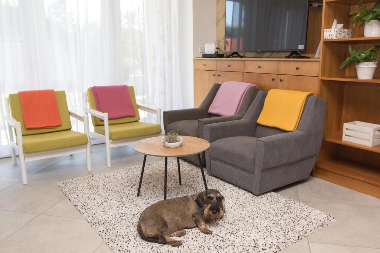 Dioliget Apartment Ohid Ngoại thất bức ảnh